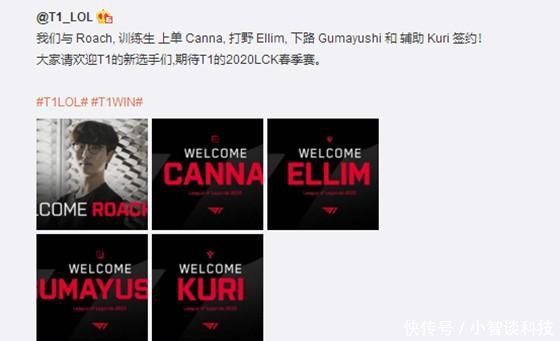 星阵容的辉 星阵容的辉