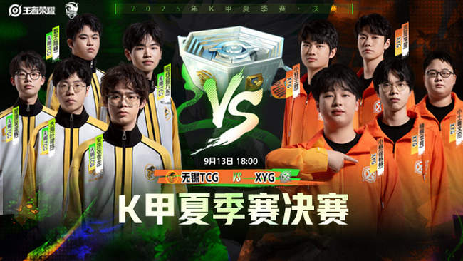 对球员职业 对球员职业